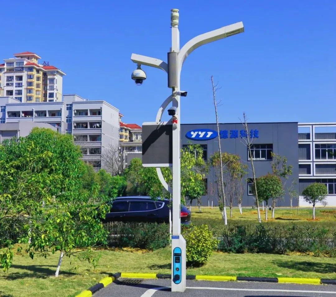 1649492121103467.jpg 25.jpg