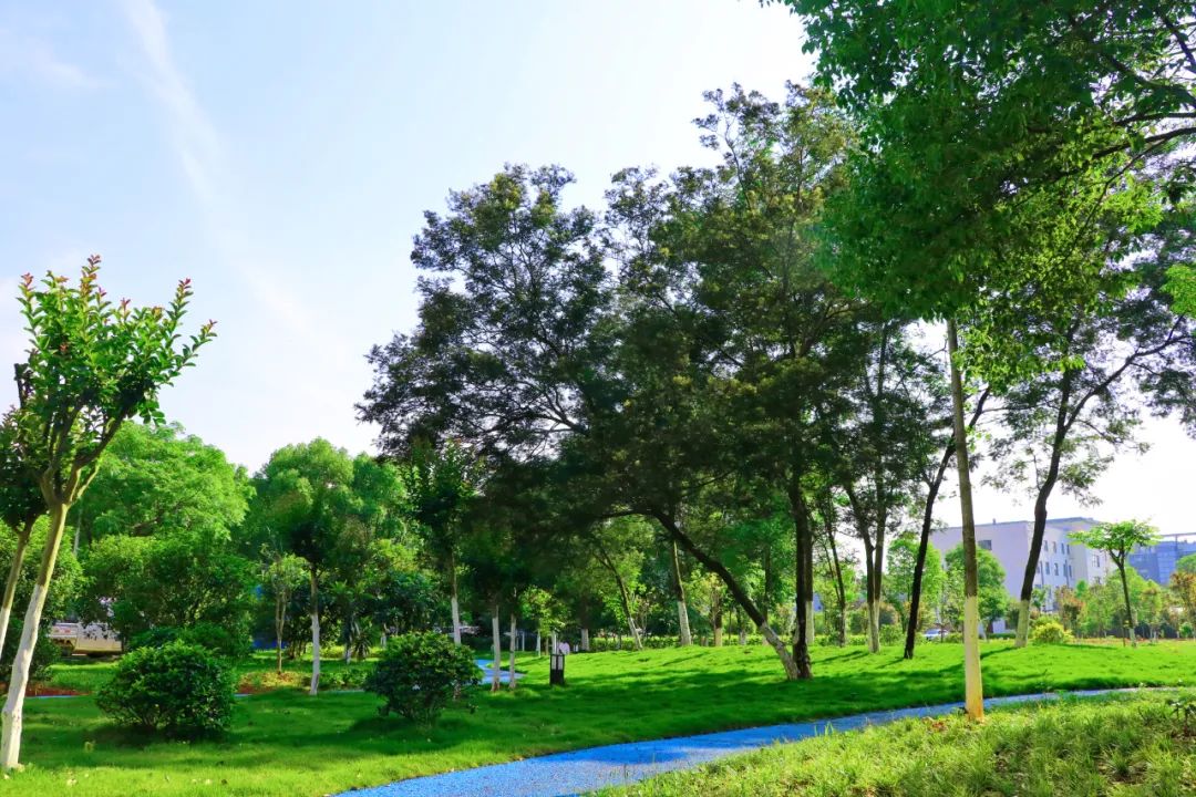 1652083047969364.jpg 3.jpg