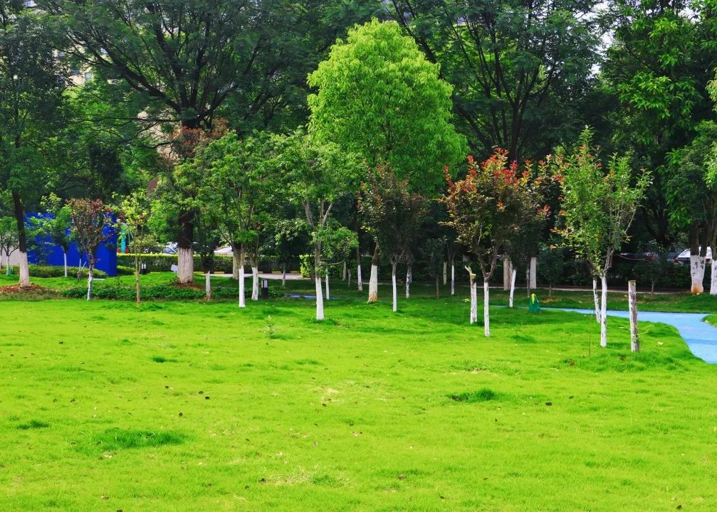 1652083116107968.jpg 10.jpg