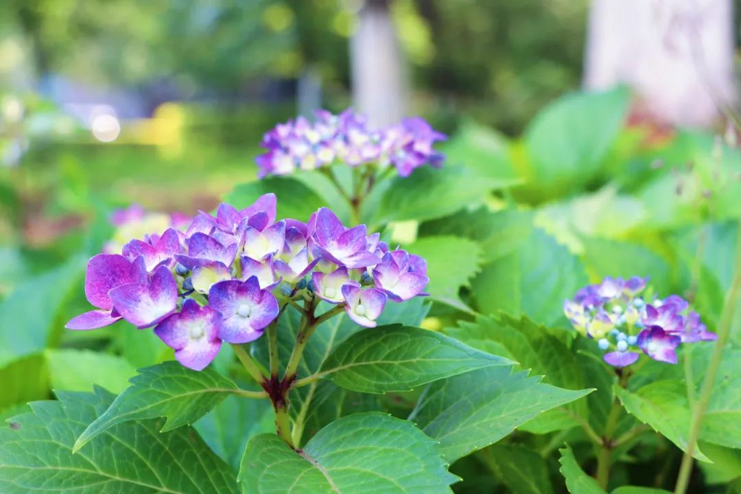 1652084414983428.jpg 13.jpg