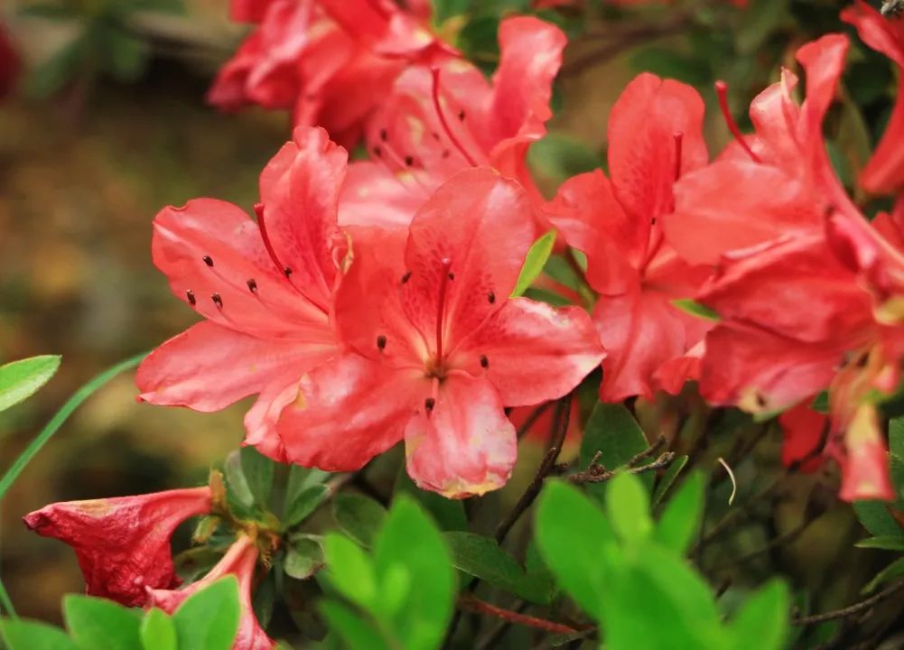 1652084444199747.jpg 14.jpg