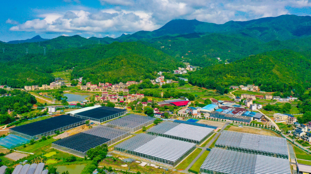 1656483874504531.png 13.png