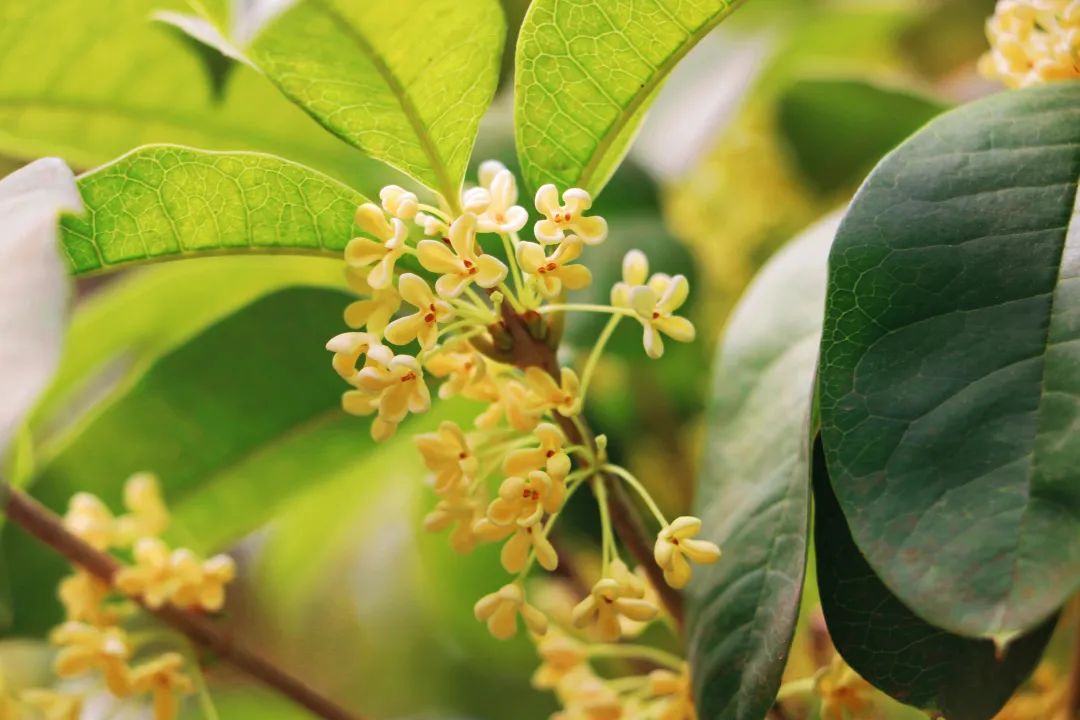 1666402406204030.jpg 3.jpg