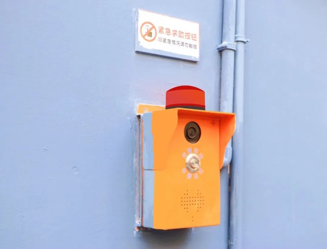 1680138690660373.jpg 8.jpg