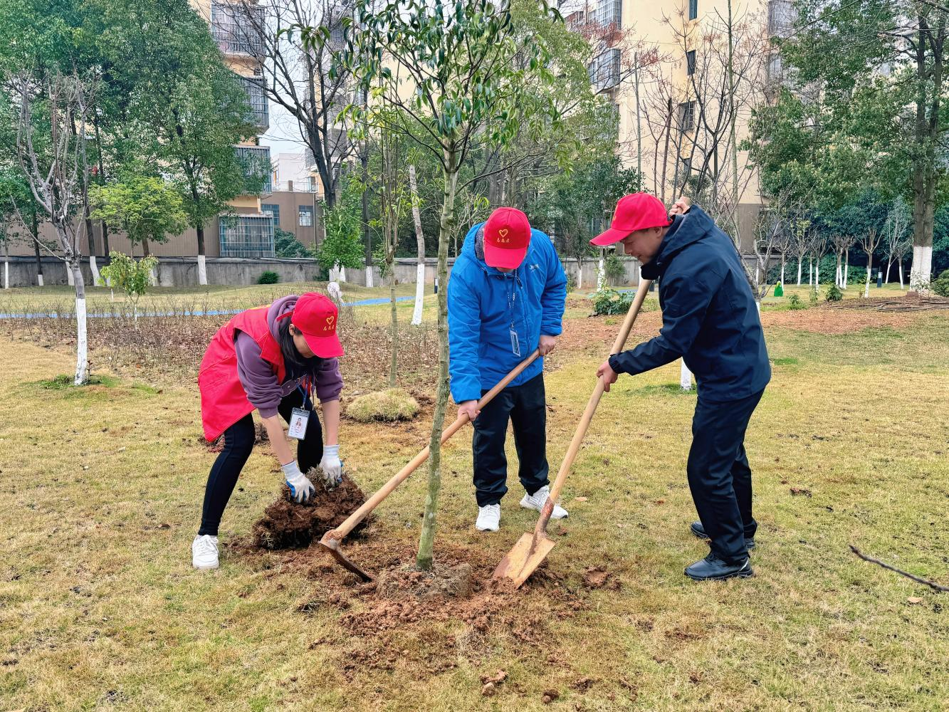 1710383528130010.png 圖片2.png